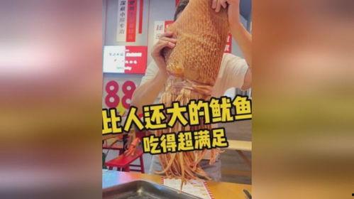 爆料街头鱿鱼视频大全集,视频大全集带你领略地道风味